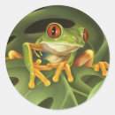 Suche nach niedlicher baumfrosch aufkleber Tropisch