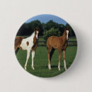 Suche nach araber buttons Stehend