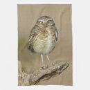 Suche nach raubvogel geschirr tücher Vogelvogel
