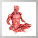 Suche nach anterior poster Bein