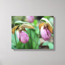 Suche nach rosa orchidee leinwandbilder Für sie