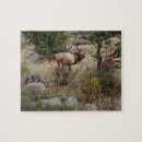 Suche nach stier puzzle Colorado
