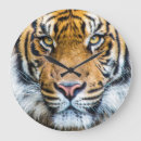 Suche nach tigergesicht poster Safari