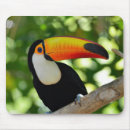 Suche nach toucan mousepads Tier