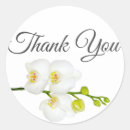 Suche nach orchideen aufkleber Weiße blume