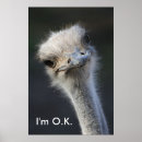 Suche nach funny inspirational poster Cute