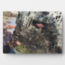 Suche nach küste fotoplatten Ozean