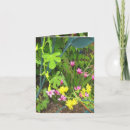 Suche nach kanarienvogel karten Fotografie