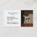 Suche nach waschbär visitenkarten Geschäft