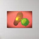 Suche nach antikörper poster Horizontal