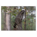 Suche nach baum zuhause schneidebrettchen Niedlich