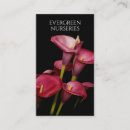 Suche nach calla visitenkarten Flora