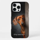Suche nach dachshunds hüllen Roter dachshund