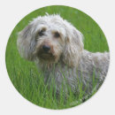 Suche nach standard aufkleber Hund