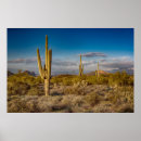Suche nach arizona kaktus poster Südwesten