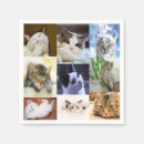 Suche nach katzen papierservietten Haustier