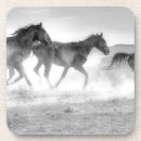 Suche nach mustang untersetzer Tiere