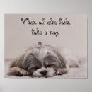 Suche nach shih tzu poster Haustier