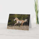 Suche nach stallion karten Laufen