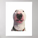 Suche nach cartoon gesicht poster Fiktion