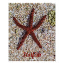 Suche nach seestern poster Urlaub