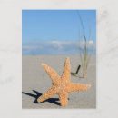 Suche nach seestern postkarten Sandsand