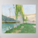 Suche nach pappeln poster Natur