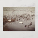 Suche nach fun postkarten Liebe