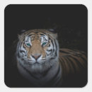 Suche nach kleiner tiger aufkleber Natur