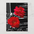 Suche nach rote rosen postkarten Couple