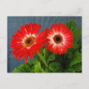 Suche nach gerbera postkarten Quelle