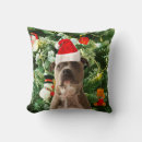 Suche nach pitbulls kissen Haustier