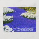 Suche nach keukenhof postkarten Niederwerfen