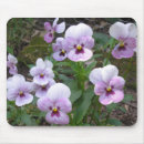 Suche nach stiefmütterchen mousepads Blumenreich