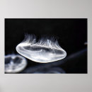 Suche nach jellyfish poster Fische