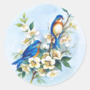 Suche nach bluebird aufkleber Vögel