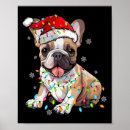 Suche nach weihnachtslichter poster Hund