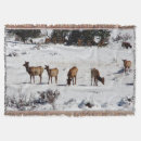Suche nach elche decken Schnee
