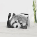 Suche nach pandas karten China