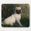 Suche nach kitz mousepads Welpe