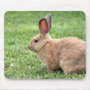 Suche nach bunny mousepads Easter