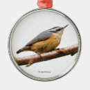 Suche nach nackt ornamente Vogelvogel