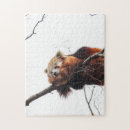 Suche nach rote puzzle Baum