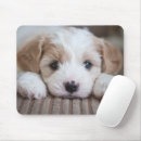 Suche nach niedliches baby mousepads Welpe