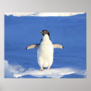 Suche nach lustiger pinguin poster Süß