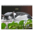 Suche nach miezekatze kalender Klugheit