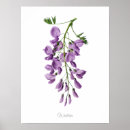 Suche nach vintage nature poster Wandkunst