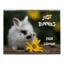 Suche nach häschen kalender Hasen
