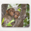 Suche nach baum mousepads Freundschaft