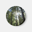 Suche nach kiefer magnete Natur